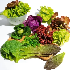 Verduras Y Hierbas><noscript><img width=