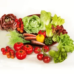 Verduras Y Hierbas><noscript><img width=