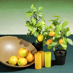 Frutas><noscript><img width=