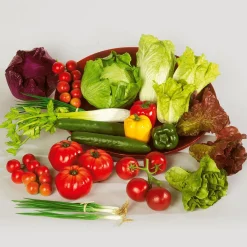 Verduras Y Hierbas><noscript><img width=