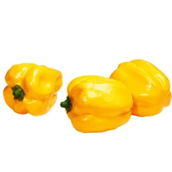 Verduras Y Hierbas>DecoWoerner Imitación De Pimiento , 3 Piezas amarillo