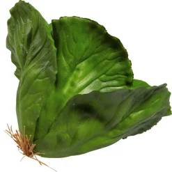 Verduras Y Hierbas><noscript><img width=