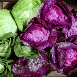 Verduras Y Hierbas><noscript><img width=