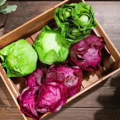 Verduras Y Hierbas><noscript><img width=