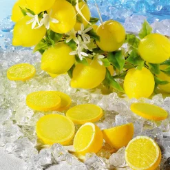Frutas><noscript><img width=