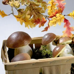Verduras Y Hierbas><noscript><img width=