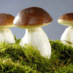 Verduras Y Hierbas><noscript><img width=