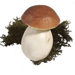 Verduras Y Hierbas><noscript><img width=
