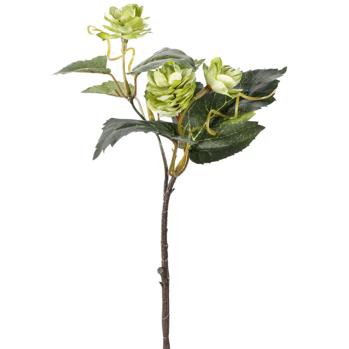 Decoración Temática|Decoración De Otoño>DecoWoerner Juego De Ramas Artificiales De Lúpulo De 3 Piezas 10 X 5 X 28 Cm verde