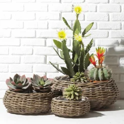 Macetas Y Artículos De Decoración><noscript><img width=