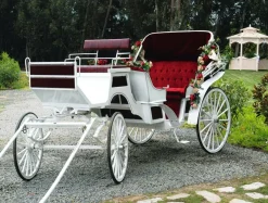 Bandera Xxl|Decoración Temática>DecoWoerner Lona XXL "Carroza De Boda Blanca" De Lona De Camión Ignífuga 250 X 330 Cm blanco