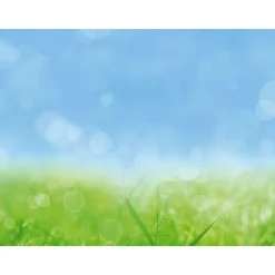 Pancartas De Primavera|Bandera Xxl>DecoWoerner Lona XXL "Hierba De Primavera" De Lona De Camión Ignífuga 250 X 330 Cm verde