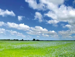 Bandera Xxl|Decoración De Verano>DecoWoerner Lona XXL "Pradera Y Cielo Nublado" De Lona De Camión Ignífuga 250 X 330 Cm verde
