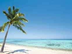 Bandera Xxl|Decoración Temática>DecoWoerner Lona XXL "Tropical Palm Beach" De Lona De Camión Ignífuga 250 X 330 Cm azul
