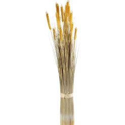 Decoración De Otoño|Hierba Decorativa>DecoWoerner Manojo De Espigas De Trigo Decorativo, 90 Cm amarillo