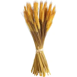 Decoración De Otoño|Hierba Decorativa><noscript><img width=