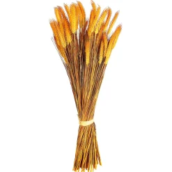 Decoración De Otoño|Hierba Decorativa>DecoWoerner Manojo De Espigas De Trigo Decorativo 90 Cm amarillo