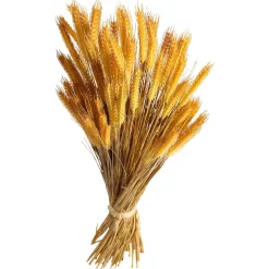 Decoración De Otoño|Hierba Decorativa><noscript><img width=