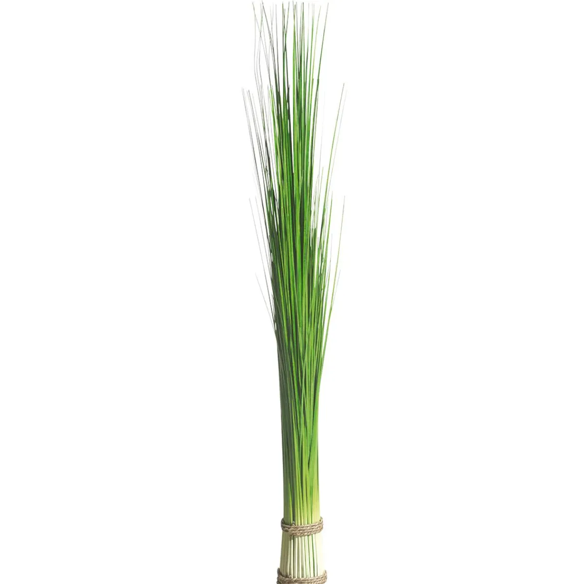 Decoración De Primavera|Hierba Decorativa>DecoWoerner Manojo De Hierba Decorativa Extra Largo, Longitud 90 Cm verde