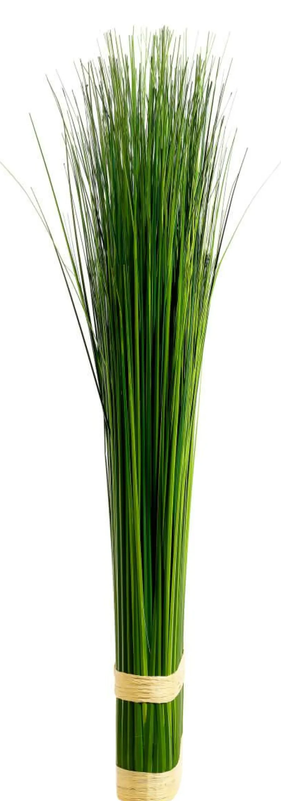 Hierba Decorativa>DecoWoerner Manojo De Hierba Decorativa 76 Cm verde