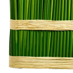 Hierba Decorativa><noscript><img width=