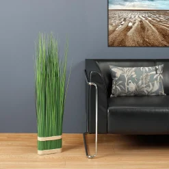 Hierba Decorativa><noscript><img width=