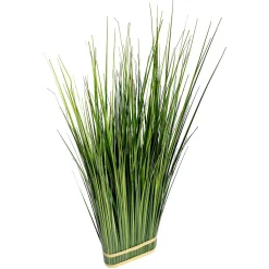 Hierba Decorativa><noscript><img width=