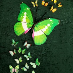 Decoración De Animales|Decoración De Primavera><noscript><img width=
