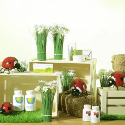 Decoración De Primavera|Decoración De Animales><noscript><img width=