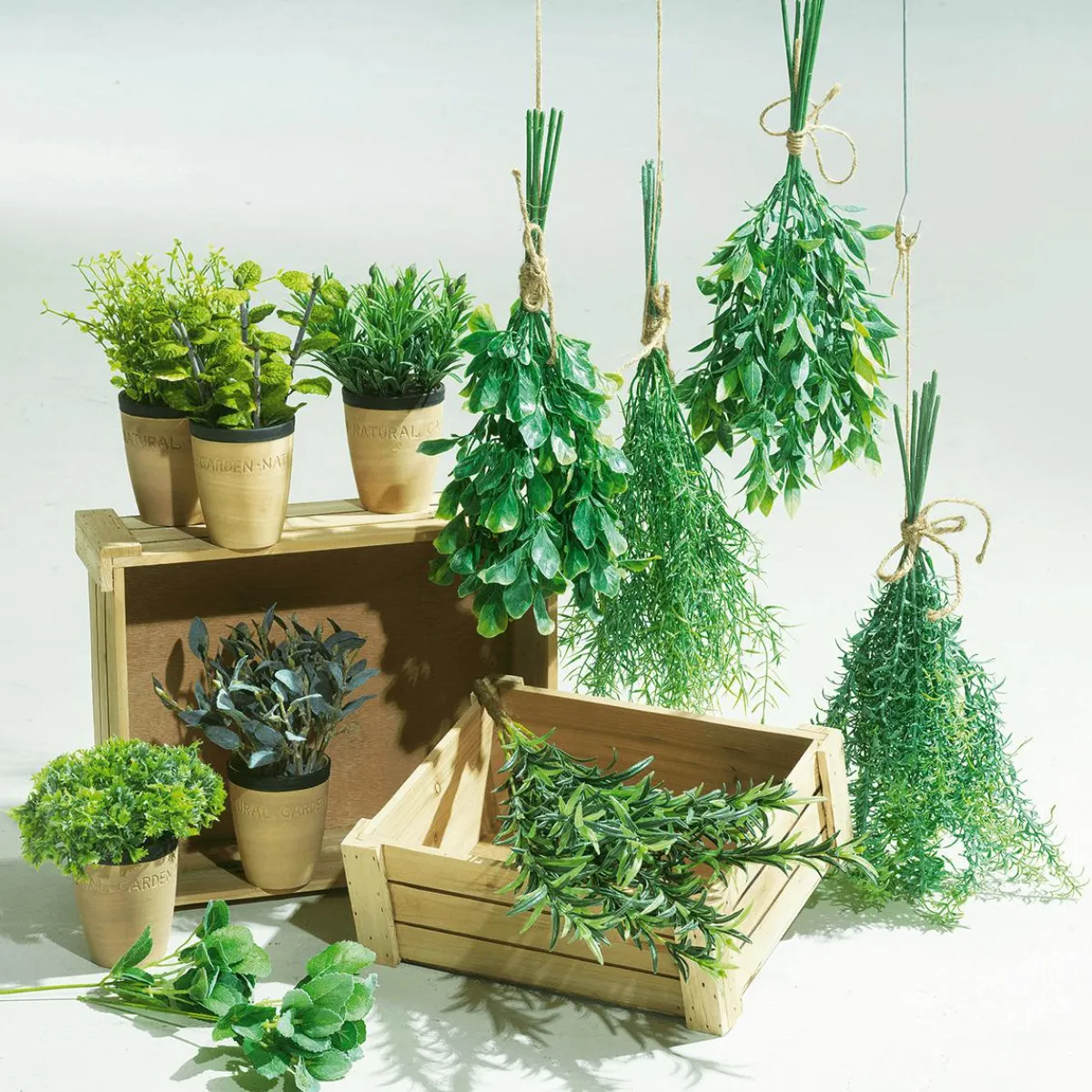 Plantas De Interior|Verduras Y Hierbas>DecoWoerner Menta Decorativa En Tiesto De Barro 20 Cm verde