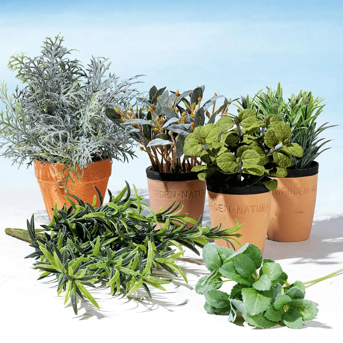 Plantas De Interior|Verduras Y Hierbas>DecoWoerner Menta Decorativa En Tiesto De Barro 20 Cm verde