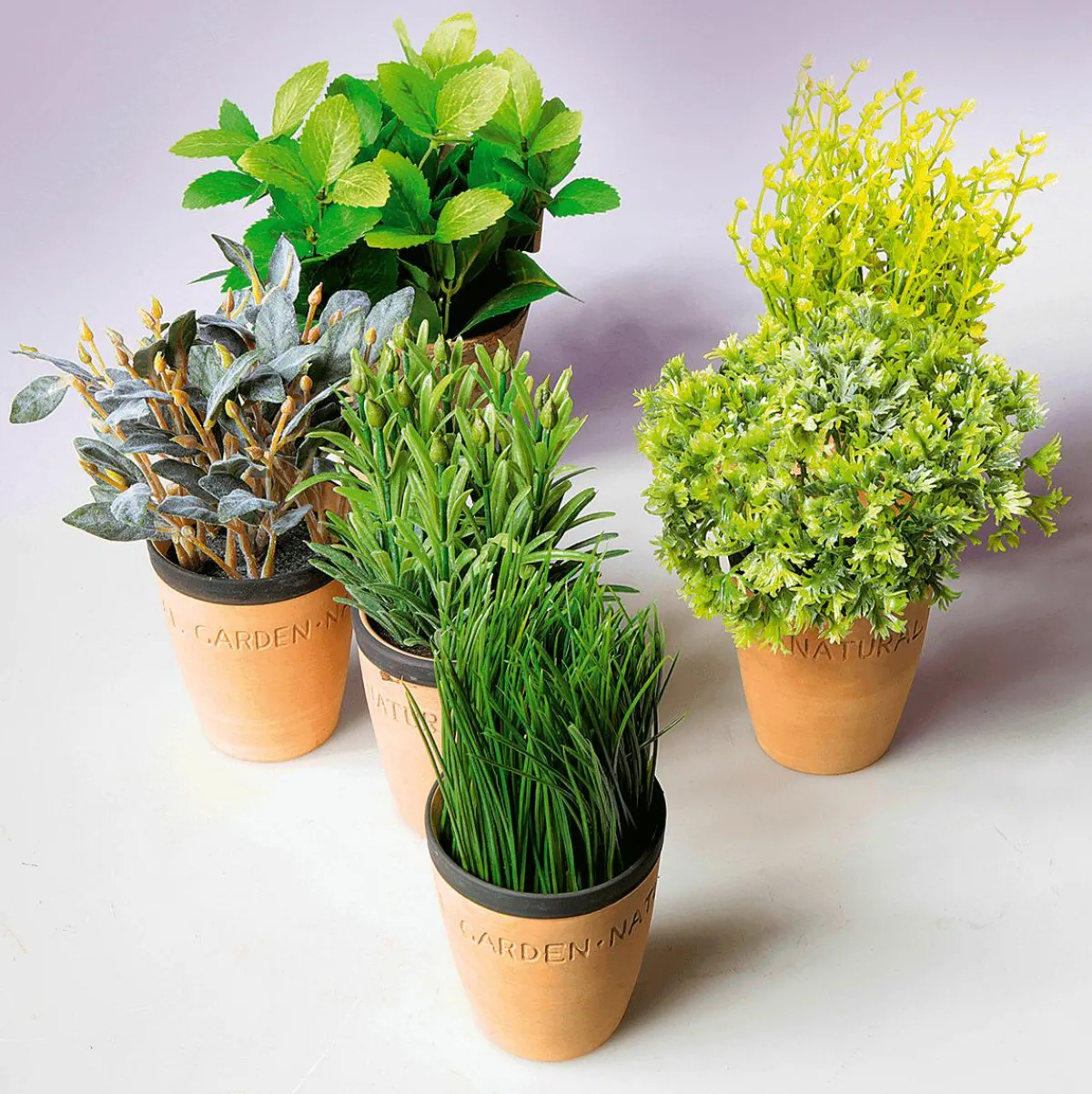Plantas De Interior|Verduras Y Hierbas>DecoWoerner Menta Decorativa En Tiesto De Barro 20 Cm verde