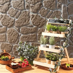 Plantas De Interior|Verduras Y Hierbas><noscript><img width=