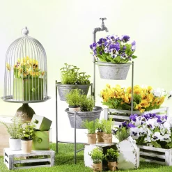 Plantas De Interior|Verduras Y Hierbas><noscript><img width=