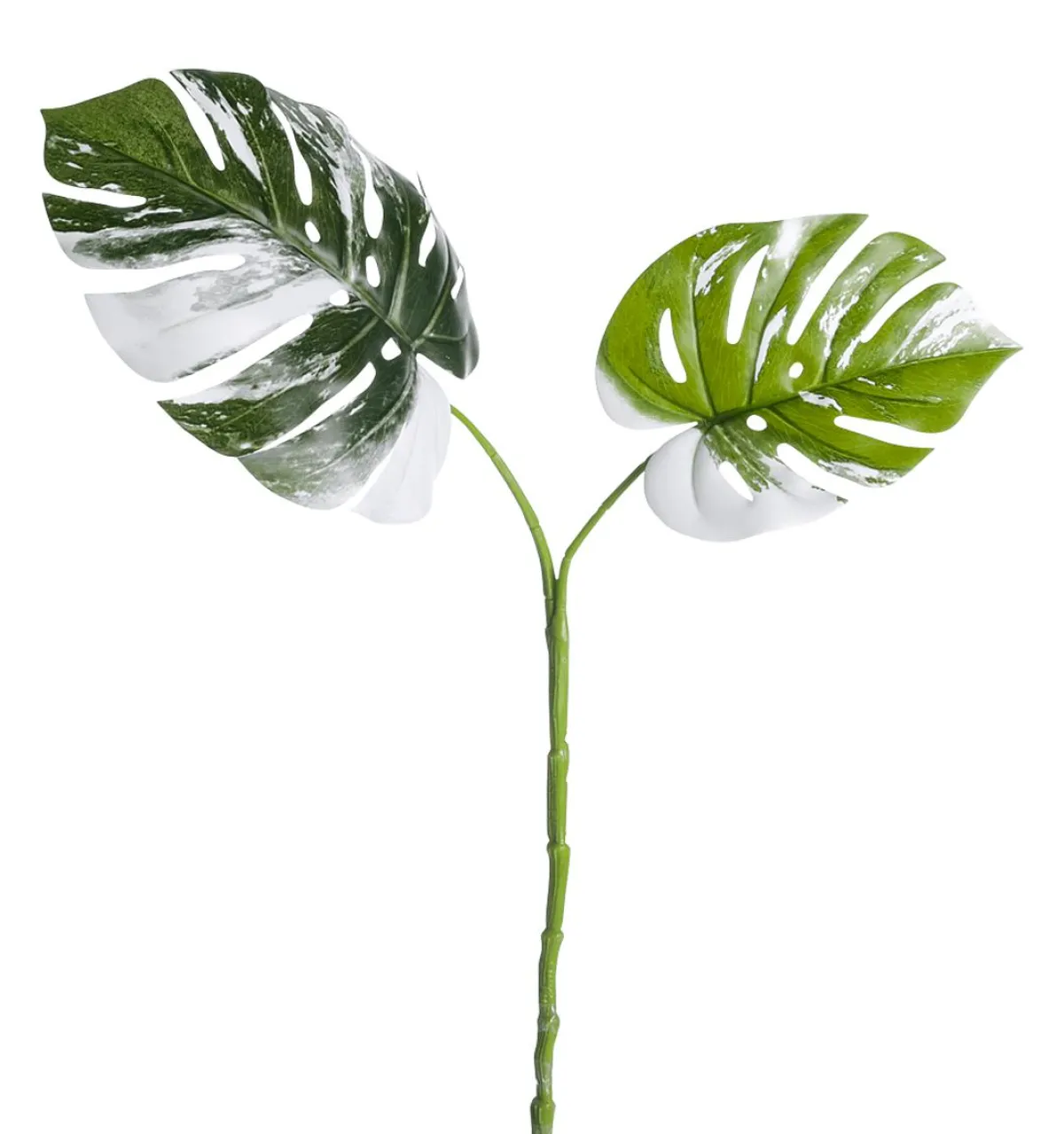 Decoración De Verano|Hojas>DecoWoerner Monstera Deliciosa Artificial Albo Variegata Hojas-Rama 85 Cm verde