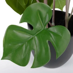 Plantas Verdes|Plantas De Interior>DecoWoerner Monstera En Maceta Negra verde
