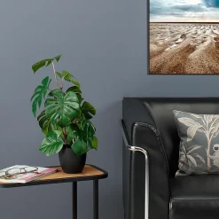 Plantas Verdes|Plantas De Interior><noscript><img width=