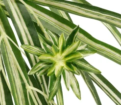 Plantas De Interior>DecoWoerner Nenúfar Artificial En Maceta 40 X 60 Cm (HxA) verde