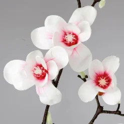 Decoración De Primavera|Ramas Y Ramitas><noscript><img width=