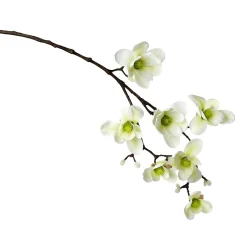 Decoración De Primavera|Ramas Y Ramitas>DecoWoerner Noble Rama De Magnolia Artificial, Verde, 100 Cm blanco