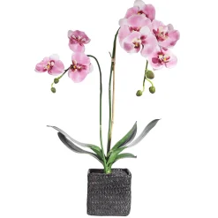 Plantas De Interior|Flores Artificiales>DecoWoerner Orquídea Decorativa En Maceta 80 Cm rosa
