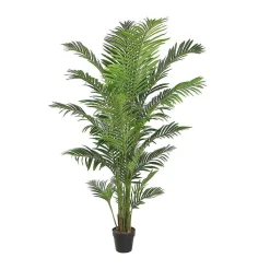 Decoración De Verano|Árboles Artificiales>DecoWoerner Palma Areca Altura 190 Cm verde