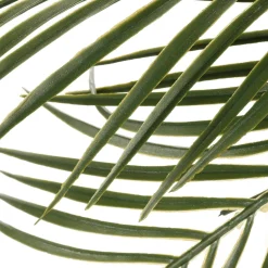 Plantas Verdes|Plantas De Interior>DecoWoerner Palmera Artificial En Maceta De 40 Cm verde
