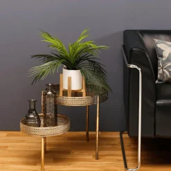 Plantas Verdes|Plantas De Interior><noscript><img width=