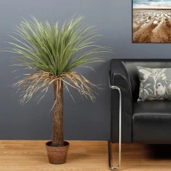 Plantas De Interior><noscript><img width=