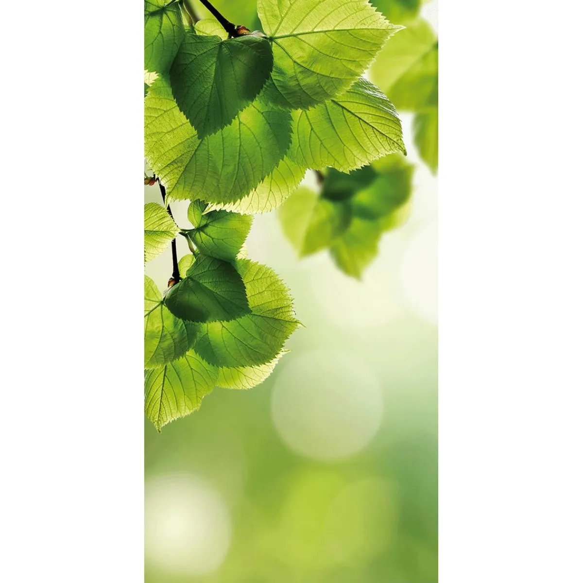 Pancartas De Primavera>DecoWoerner Pancarta De Fibra Natural Ligera Resistente A La Luz Hojas De Abedul 100 X 200 Cm verde