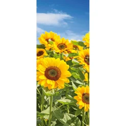 Pancartas De Otoño|Pancartas De Verano>DecoWoerner Pancarta De Tela Campo De Girasoles 75 X 180 Cm