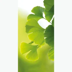 Decoración Natural|Decoración De Primavera>DecoWoerner Pancarta De Tela Ignífuga "Ginkgo" De Tela De Bandera De 100 X 200 Cm verde