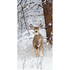Decoración De Invierno|Pancartas De Navidad E Invierno>DecoWoerner Pancarta De Tela Ignífuga "Ciervo De Invierno" De Tela De Bandera 100 X 200 Cm blanco