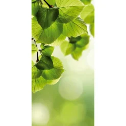 Decoración Natural|Decoración De Primavera>DecoWoerner Pancarta De Tela Ignífuga "hojas s De Abedul" De Tela De Bandera 100 X 200 Cm verde